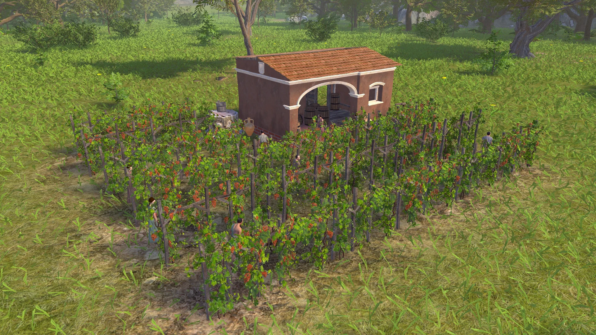 Vineyards and a Roman agricultural estate in Pompeii: The Legacy